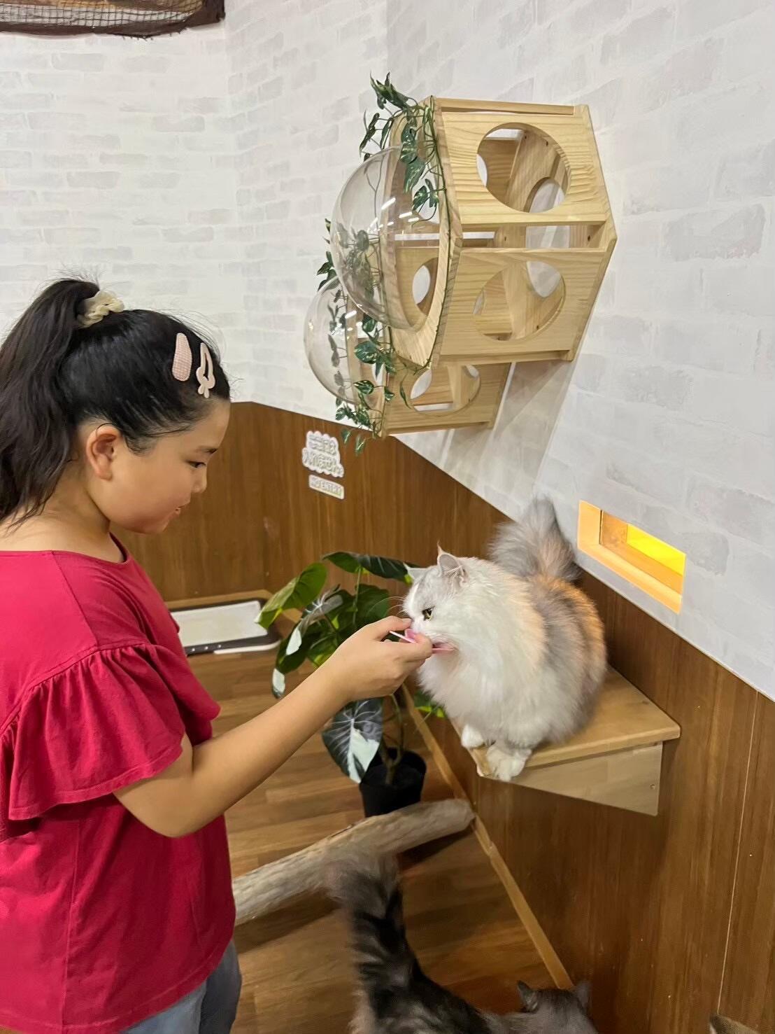 猫におやつをあげる女の子